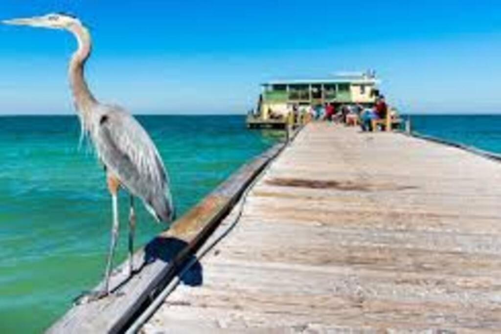 Waterview Oasis Retreat, Minutes To Anna Maria Island And Img Lägenhet Bradenton Exteriör bild